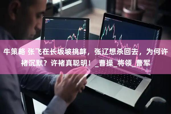 牛策略 张飞在长坂坡挑衅，张辽想杀回去，为何许褚沉默？许褚真聪明！_曹操_将领_曹军